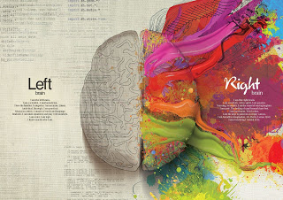 Left and right sides of the brain