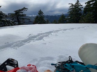 The foreground is the tops of camping gear — a snowshoe, red bag (this is my lunch bag), blue straps of my backpack with a yak track attached to it, and a tan-ish dry bag. The middle is snow with my tracks in it going up. The road curves and the picture reflects this turn with a concave shape to the road. The middle/background is tall trees with ragged, wind-blown branches. Background is mountain peaks and the sky is dark and purpling.