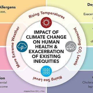 Healthcare Leadership for Climate Change Fellowship By Bright Chimezie Irem. Image Credit: Carlifornia Department of Public Health