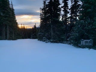 A snowy road with trees on either side and a sunrise in the center. There is a brown painted wood sign on the right with directions to the three parts of the campground: Loop A, B, and C.