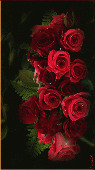 Red roses | Las flores | Rosas, Rosas rojas y Flores bonitas - flowers roses gif