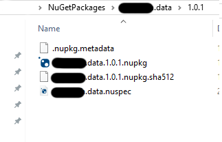 NuGet folder