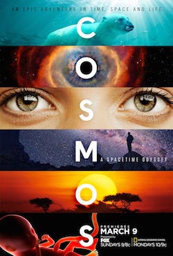 cosmos poster