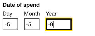 three fields for the date of spend with -5 as the day, -5 as the month and -9 as the year. there is a yellow focus indicator on the year field