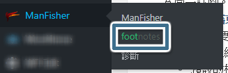 footnotes 外掛設定頁進入位置