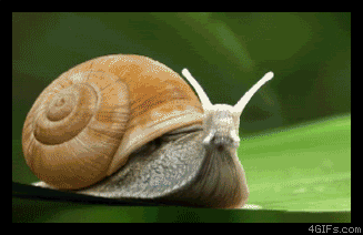 Snail transforming into a drone with large engine and flying away.