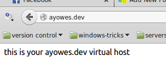 virtual host ayowes.dev