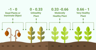 NDVI value ranges