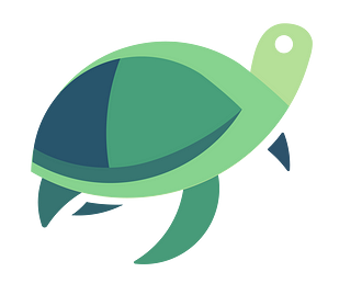 Learn Turtle - Medium