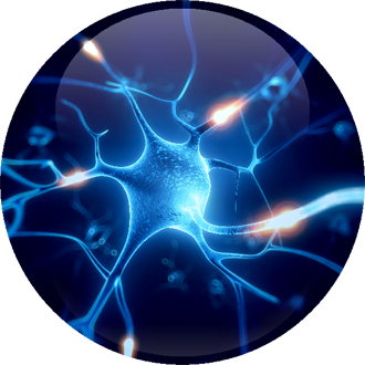 Neuron and synapses — Adrian Chernyk