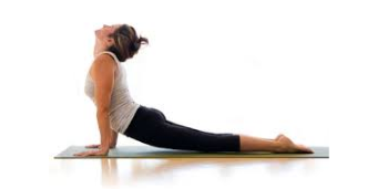 Yoga poses : Prone backbends