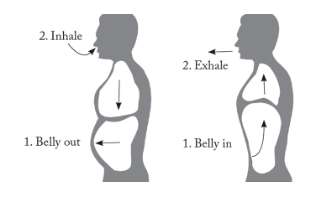 Yoga : Abdominal breathing