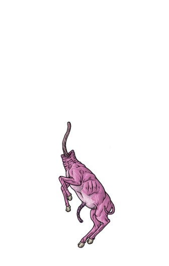 Headless Moon Calf