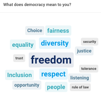 Word cloud including: freedom, diversity, respect, inclusion, equality, fairness.