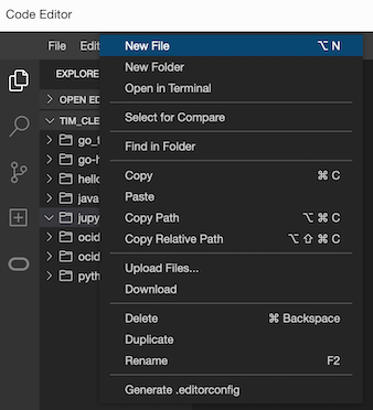 New file in OCI Code Editor