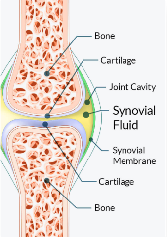 stiff joints