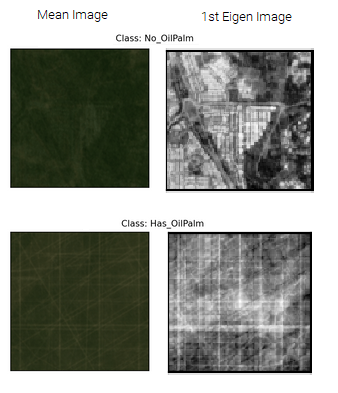 Mean image and Eigen image for both classes.