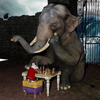 An elephant playing the game of chess with a mouse