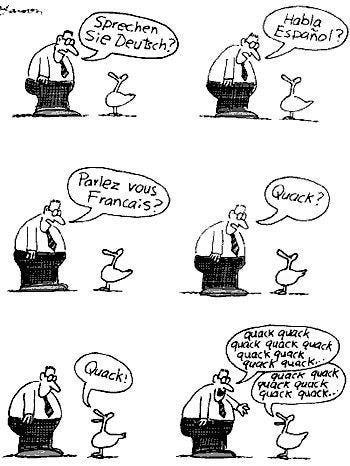 Man and duck negotiating a common language