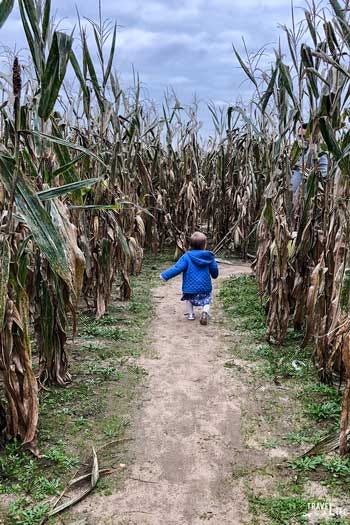 Image of Fifer Orchards Fall Fest Saturdays Things to do in Delaware