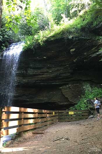 Weekend Things to Do in Brevard NC Moore Cove Falls Image