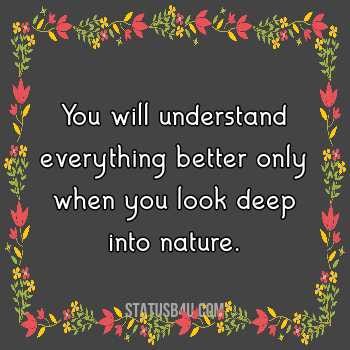 Beautiful Nature Quotes