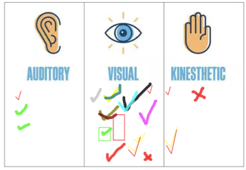 auditory visual kinesthetic chart with visual at 80% of checkmarks