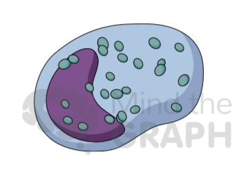 mast_cell_mind_the_graph