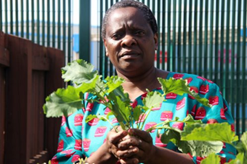 Photograph of Tendayi in a colourful outfit holding a root vegetable.