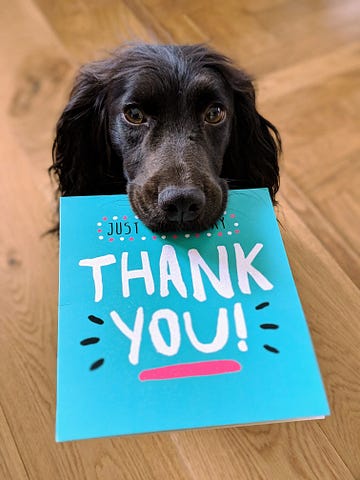 A black dog holds a thank you card in its mouth.