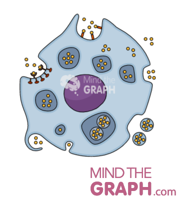 uptake cell signaling