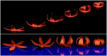 Mechanics of Biomimetic 4D printed structures