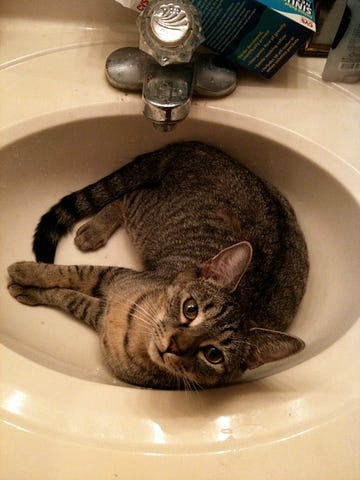 Photo of cat sprawled in a bathroom sink.