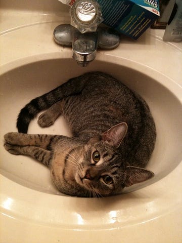 Cat sprawled in sink.