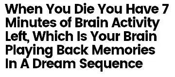 When you die you have a 7 minutes of Brain activity left, which is your brain playing back your memmories in a dream sequence.