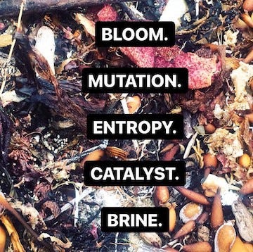 mage description: “Bloom”, “Mutation”, “Entropy”, “Catalyst”, and “Brine” are written in white text against black and are sup