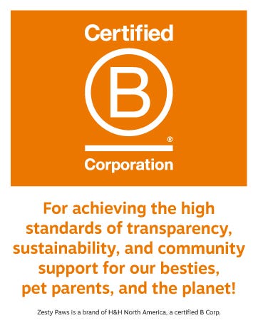 certifed b corporation