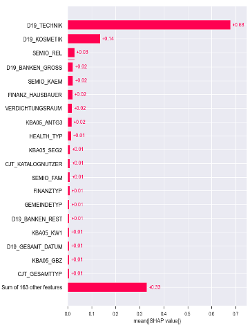 Shap barplot about mean absolute feature values.