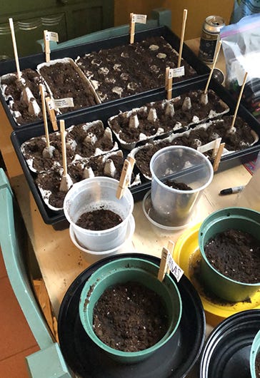 A few pots and containers filled with soil.