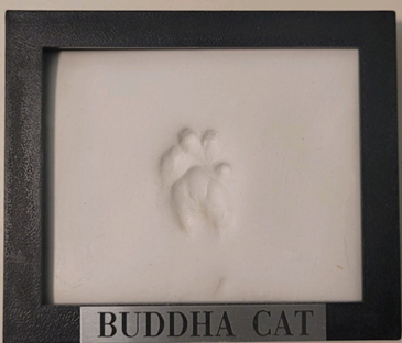 BuddhaCat’s memorial pawprint