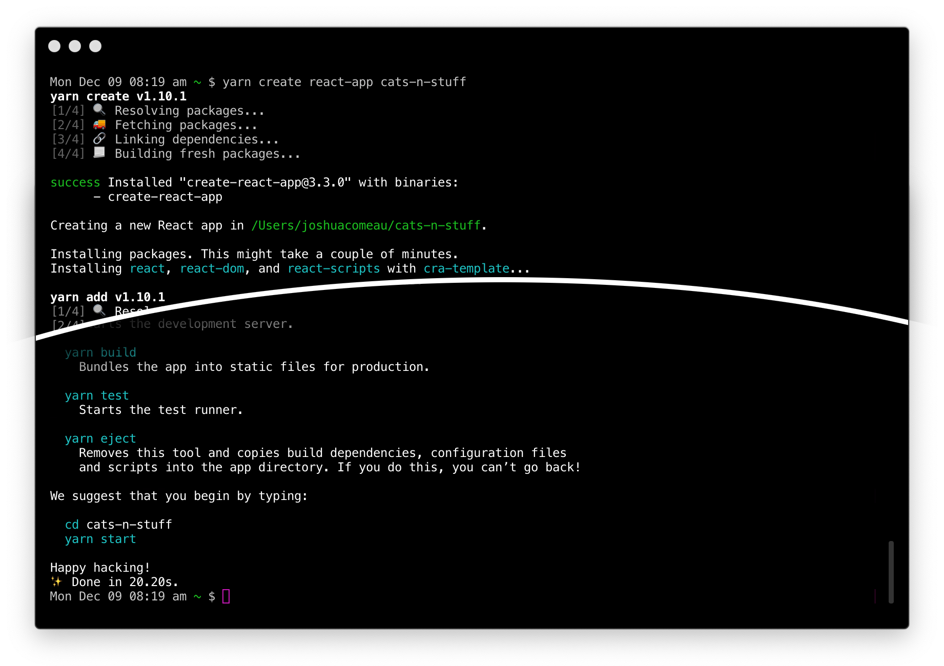 The actual terminal output is ***a lot**, so this screenshot cuts out a bunch of stuff in the middle.*