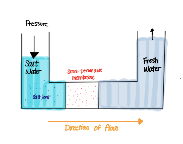 This picture depicts the process of reverse osmosis. First salt water comes through, goes through a membrane and out comes fresh water!