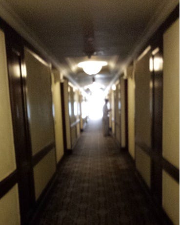 Blurry picture of the Orchid’s ill-lit and sickly-colored hallways