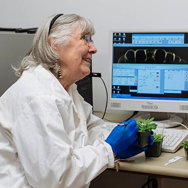 Barbara Pickard sitting at a lab bench