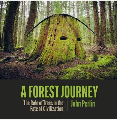 The book cover for ‘A Forest Journey: The Role of Trees in the Fate of Civilization’ by author John Perlin.