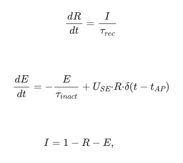 Tsodkys and Markram resources equations