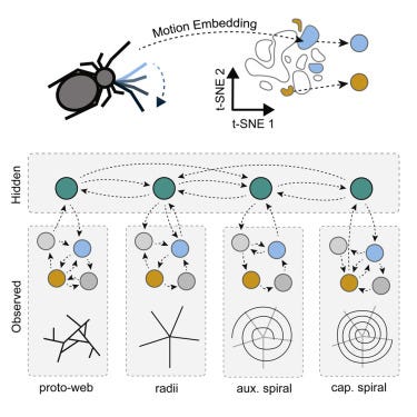 https://www.sciencedirect.com/science/article/pii/S0960982221012707