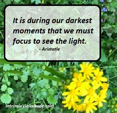 Aristotle quote paired with yellow wildflowers.