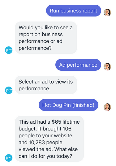 Screenshot in Shopify Ping of a store owner asking Kit to run a business report and Kit reporting on how their ad performed.