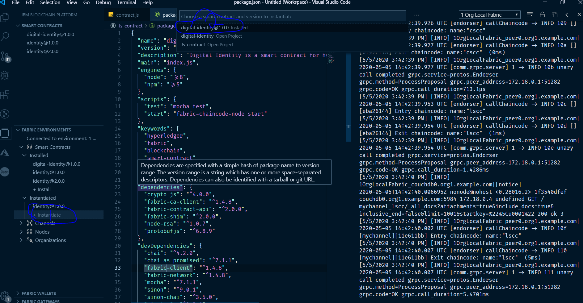 Vscode IBM blockchain Extention(Instantiate)